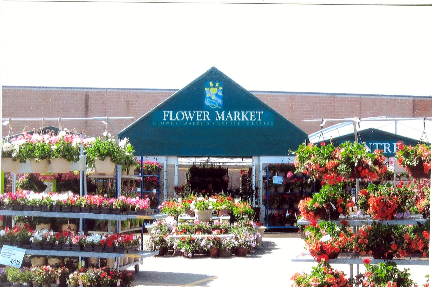 YIGs Flower Market 1 (2)